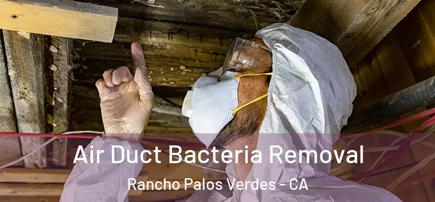 Air Duct Bacteria Removal Rancho Palos Verdes - CA