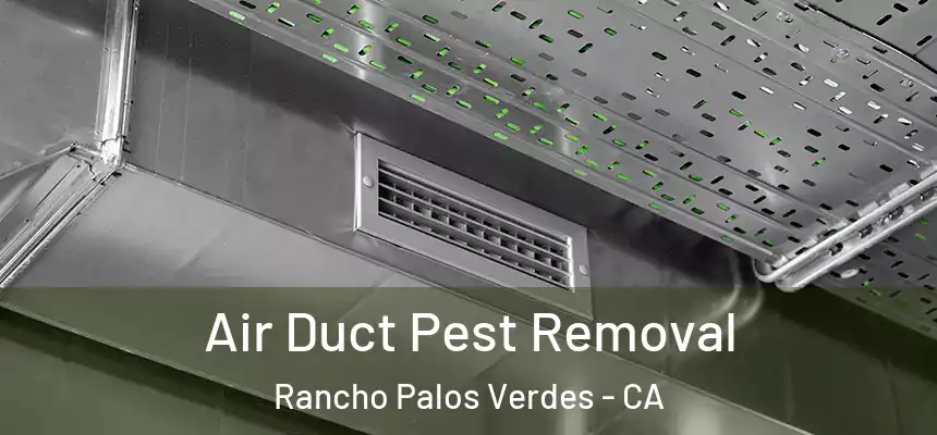Air Duct Pest Removal Rancho Palos Verdes - CA