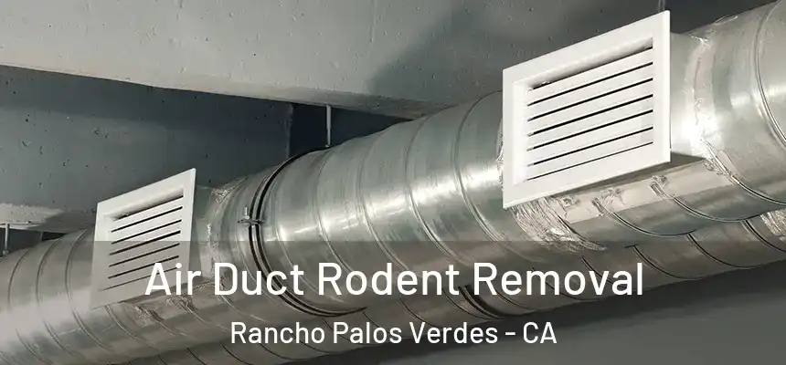 Air Duct Rodent Removal Rancho Palos Verdes - CA