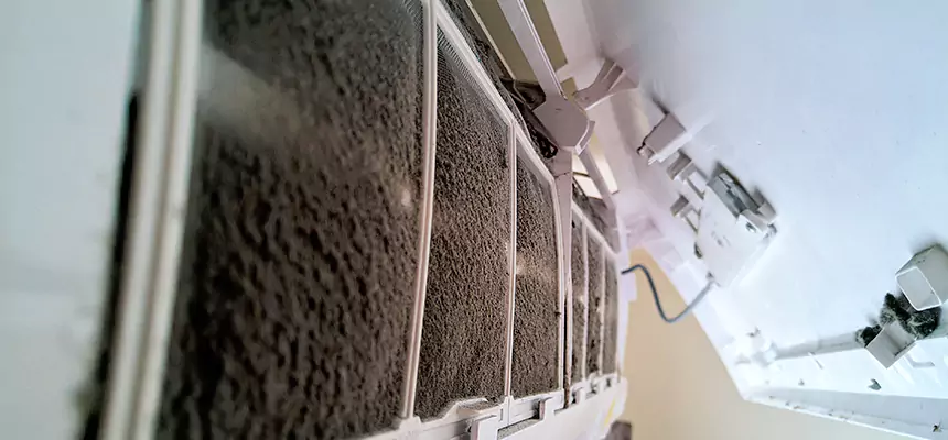 Preventive Air Duct Bacteria Removal in Rancho Palos Verdes