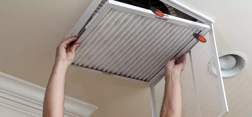 Preventive Cockroach-Proofing for Ducts in Rancho Palos Verdes