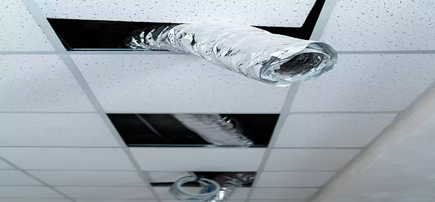 Our Air Duct Pet Hair Removal Services in Rancho Palos Verdes, CA