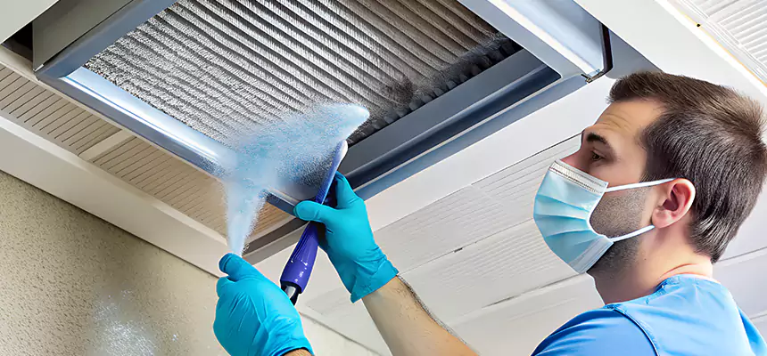 Proactive Dryer Vent & Auxiliary Duct Pollen Cleanup in Rancho Palos Verdes, CA