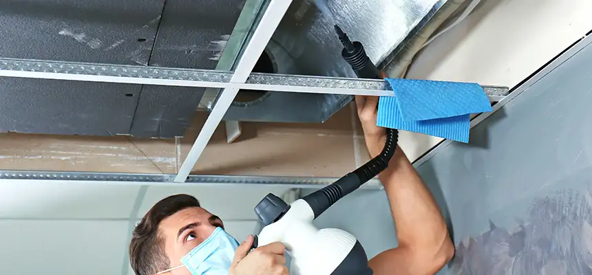 Our Air Duct Rodent Removal Services in Rancho Palos Verdes, CA