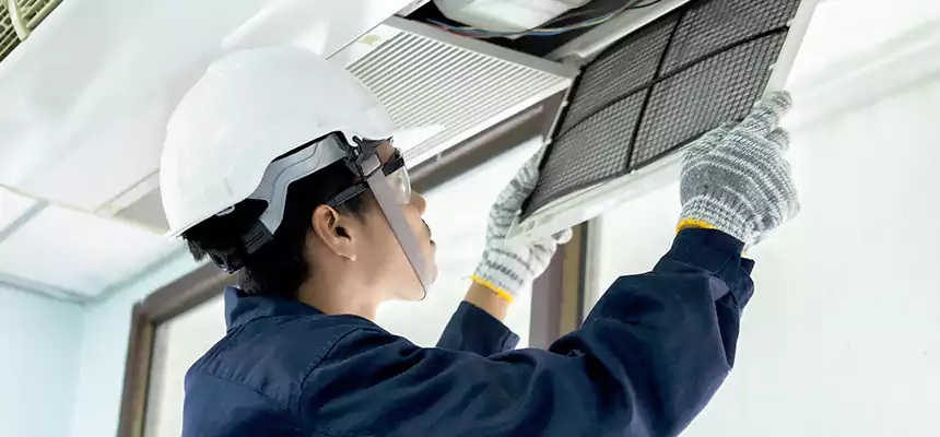 Our Mold & Mildew Removal from Air Ducts Services in Rancho Palos Verdes, CA