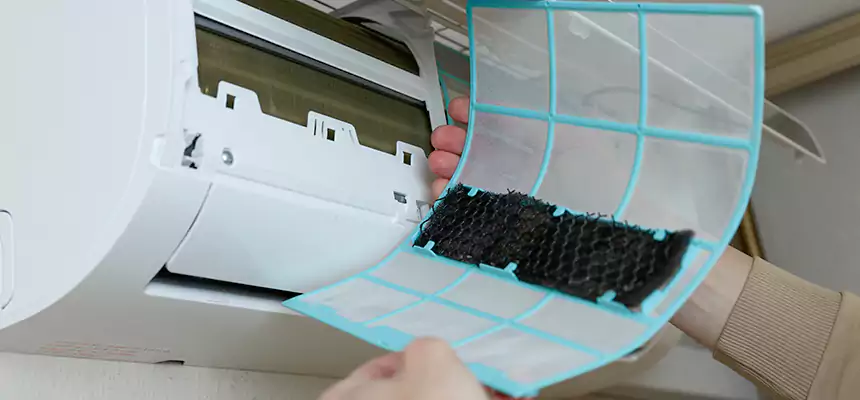 Gentle Ductwork Odor-Control Pet Dander Duct Cleaning in Rancho Palos Verdes, CA