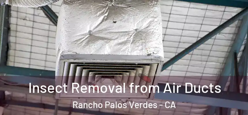 Insect Removal from Air Ducts Rancho Palos Verdes - CA