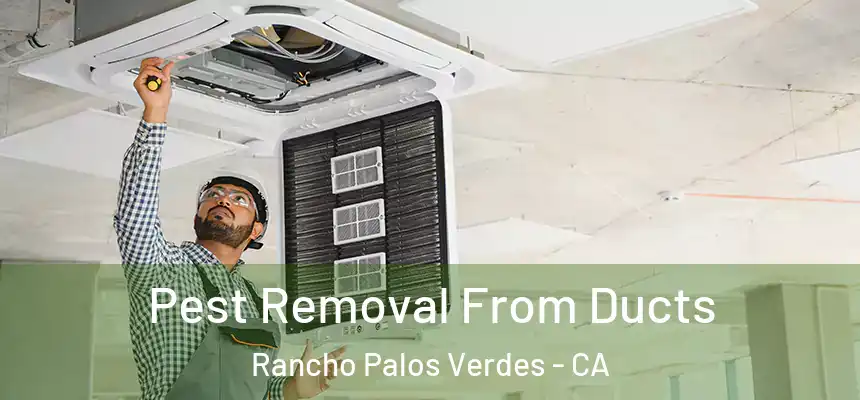  Pest Removal From Ducts Rancho Palos Verdes - CA