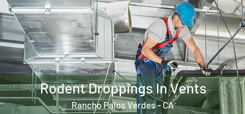Rodent Droppings In Vents Rancho Palos Verdes - CA