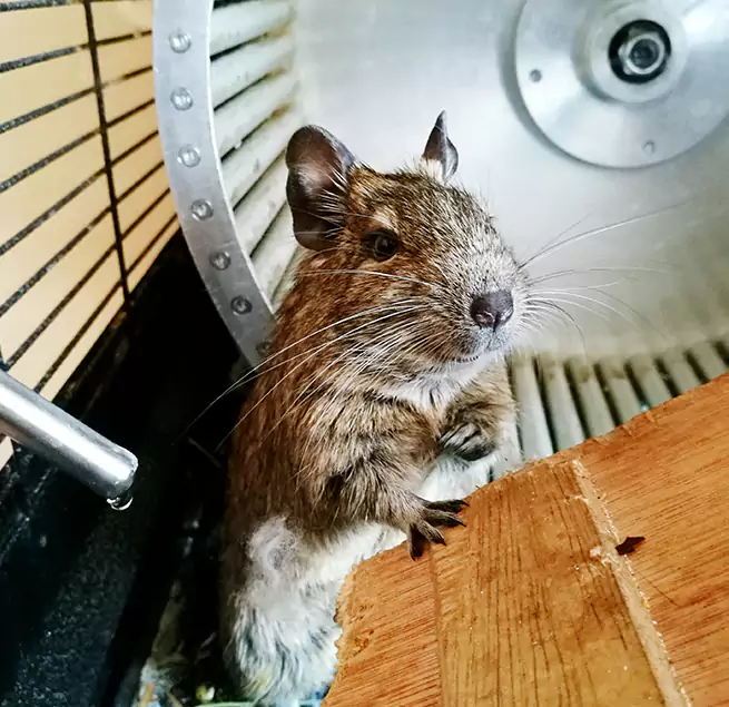 Why Homeowners & Businesses Trust Us Rancho Palos Verdes, CA?