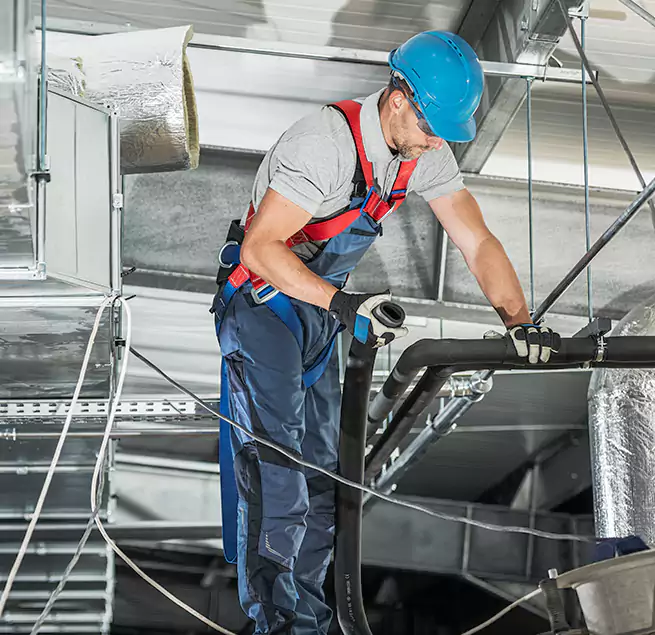 Why Homeowners & Businesses Trust Us in Rancho Palos Verdes, CA?