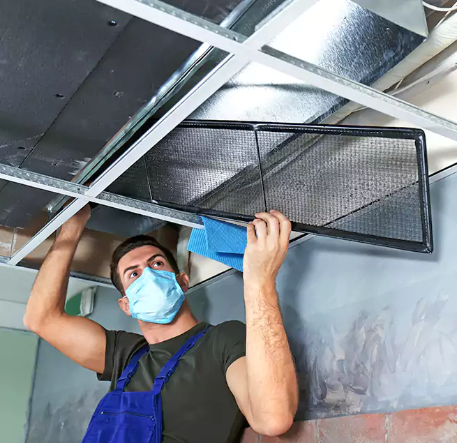 Why Homeowners Businesses Trust Us in Rancho Palos Verdes, CA