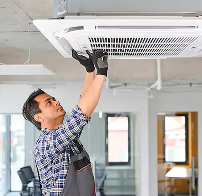 Why Homeowners & Businesses Trust Us in Rancho Palos Verdes, CA?