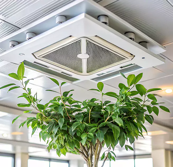 Why Homeowners & Businesses Trust Us in Rancho Palos Verdes, CA?