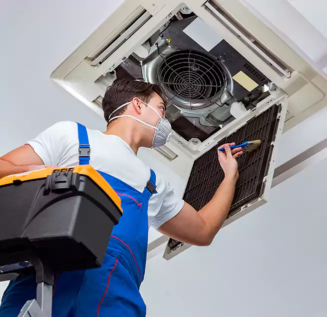 Why Homeowners & Businesses Trust Us in Rancho Palos Verdes, CA?