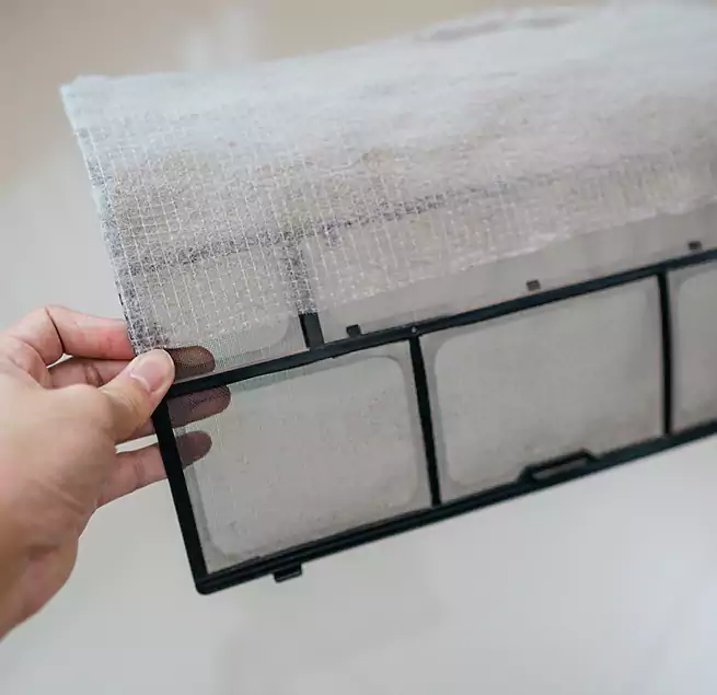 Why Homeowners & Businesses Trust Us in Rancho Palos Verdes, CA?