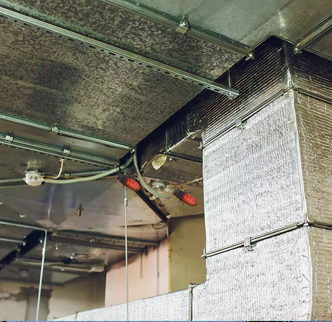 Why Homeowners & Businesses Trust Us Rancho Palos Verdes, CA?