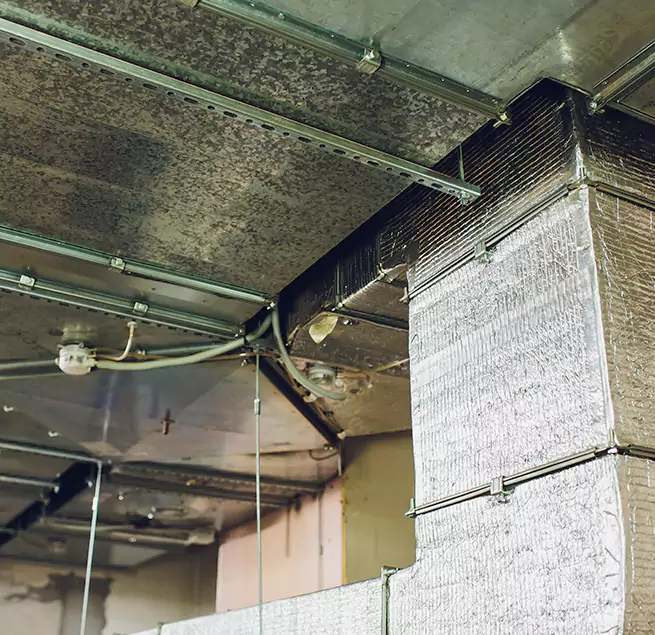 Why Homeowners & Businesses Trust Us in Rancho Palos Verdes, CA?