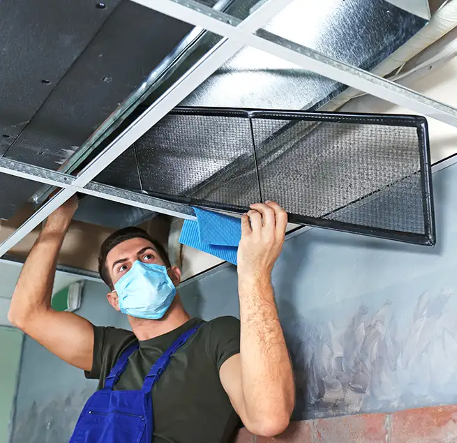 Why Homeowners & Businesses Trust Us in Rancho Palos Verdes, CA?